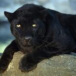 hamxa - instagram username