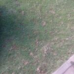 Barnaba - kik username