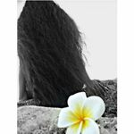 loulou-shi - kik username