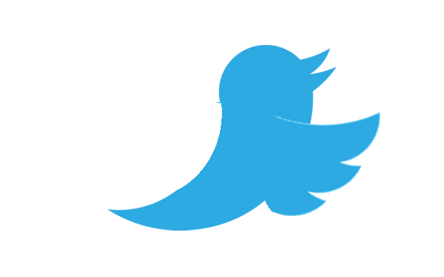Птичка твиттера. Логотип твиттера. Птица Твиттер. Логотип твиттера птичка. Twitter animations