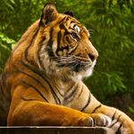 Manjumady - kik username