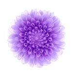 Soni - kik username