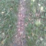 xuha andleeb - kik username