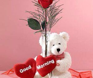 Mohit