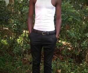 Vester