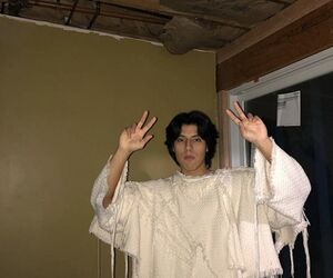 onlinesteven