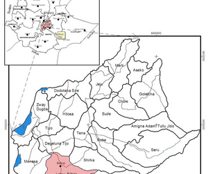 Winitese