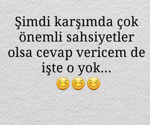 Mert301