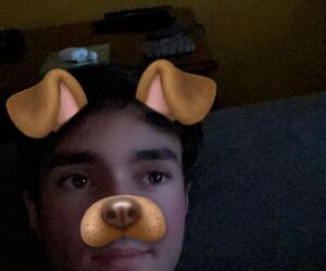 Max_cedar
