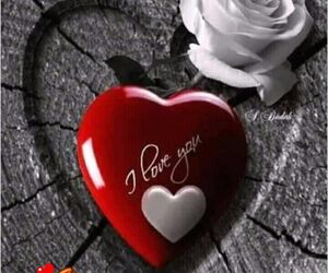 Umer