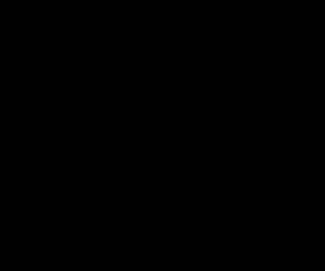 Profile STEGO