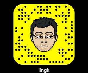 lingk
