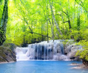 Love Nature2