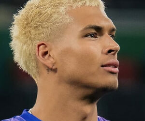 Profile joe