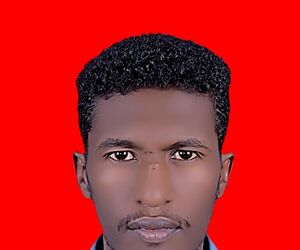 salihco96