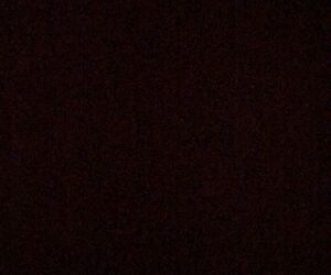 Karleetaka