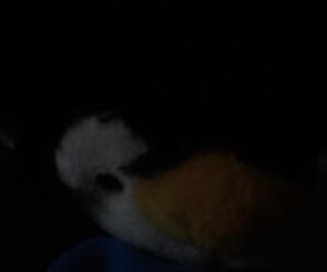 Jacob
