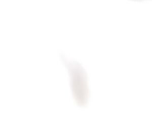 Profile goncalo