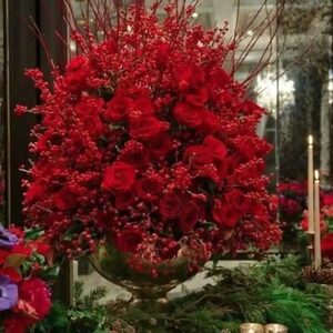Profile Mark Palmer