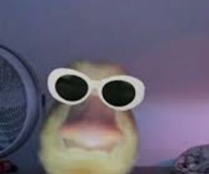 online546