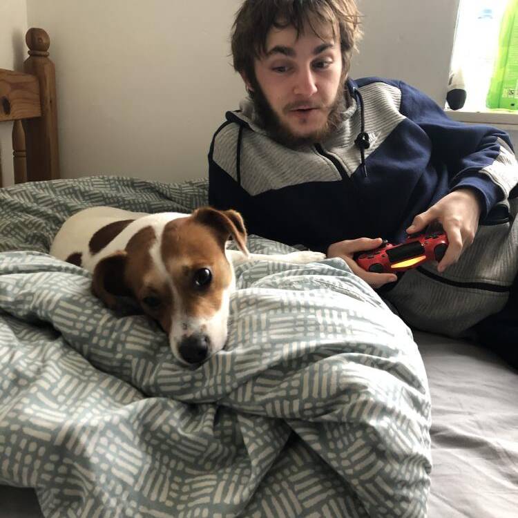 Foto de perfil