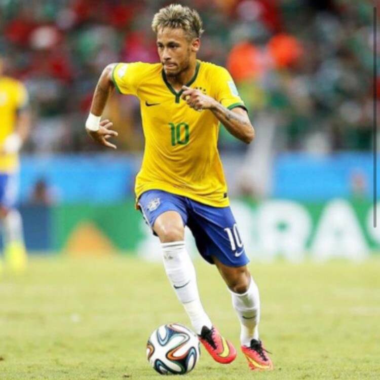 Foto de perfil de 330728