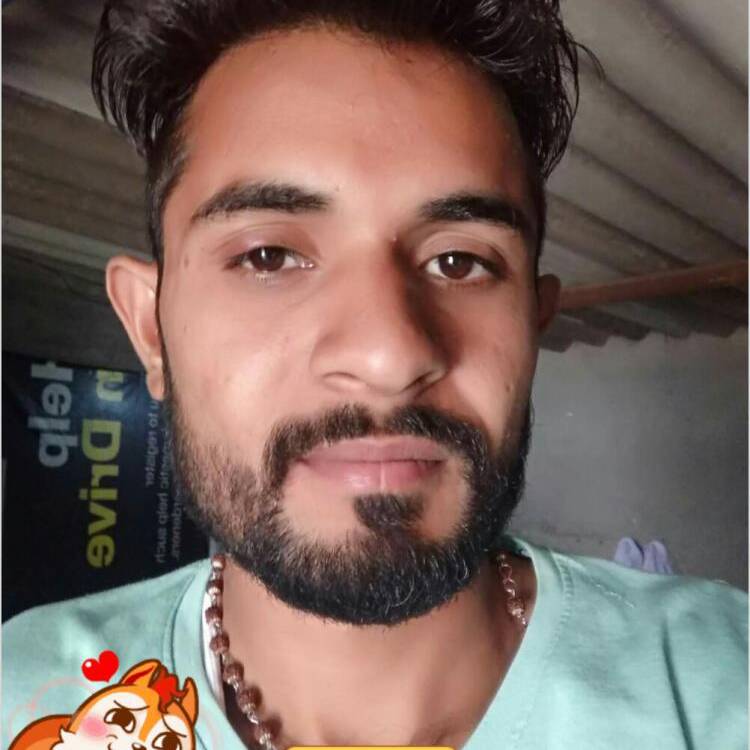 Foto de perfil de Bije