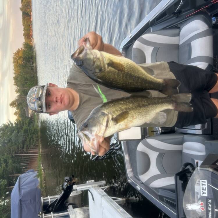 Foto de perfil de Aidan Mittelbuscher