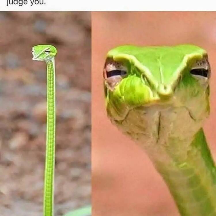 Foto de perfil de John