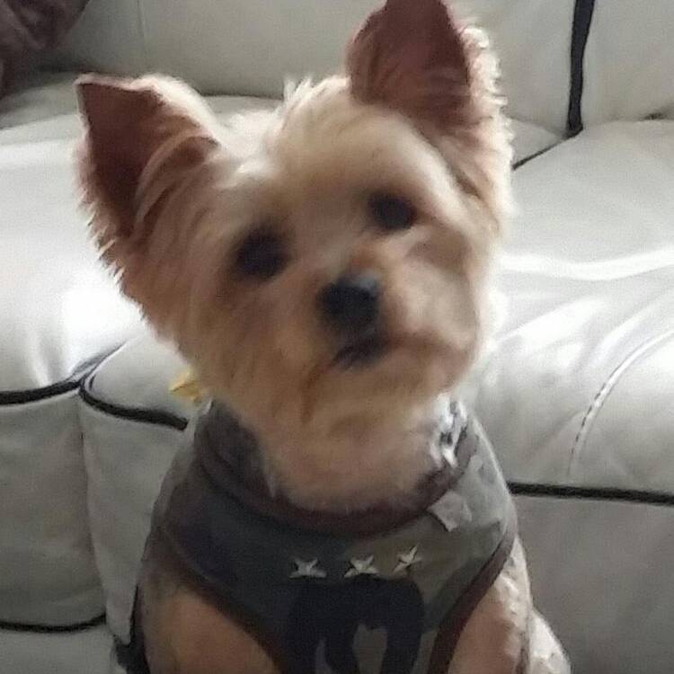 Foto de perfil