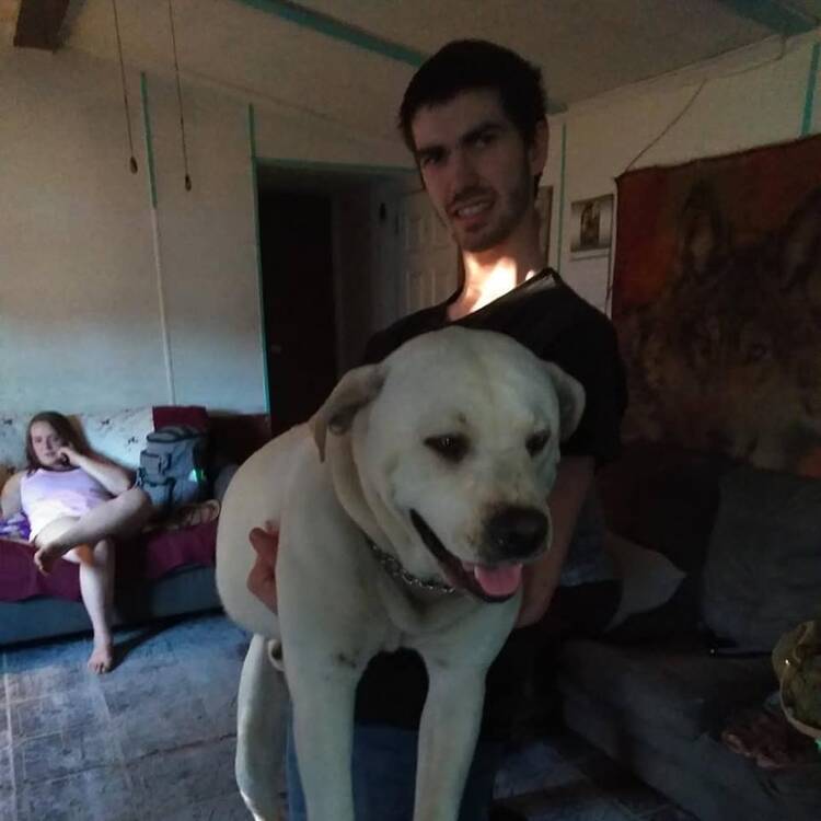 Foto de perfil