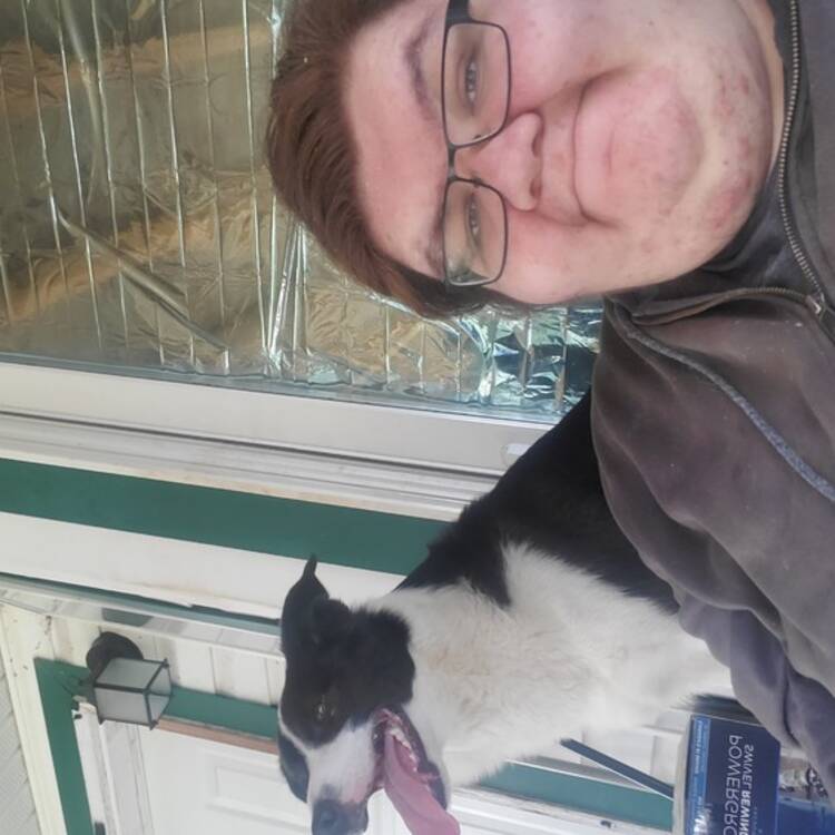 Foto de perfil