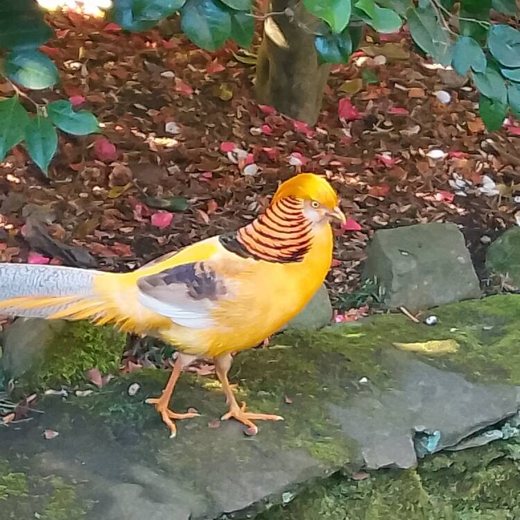 Foto de perfil de Amy