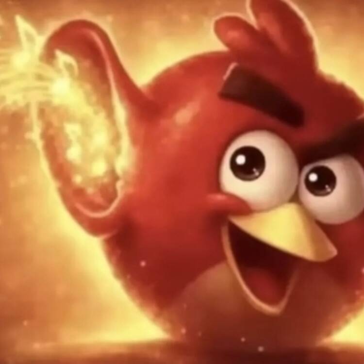 Foto de perfil de dons