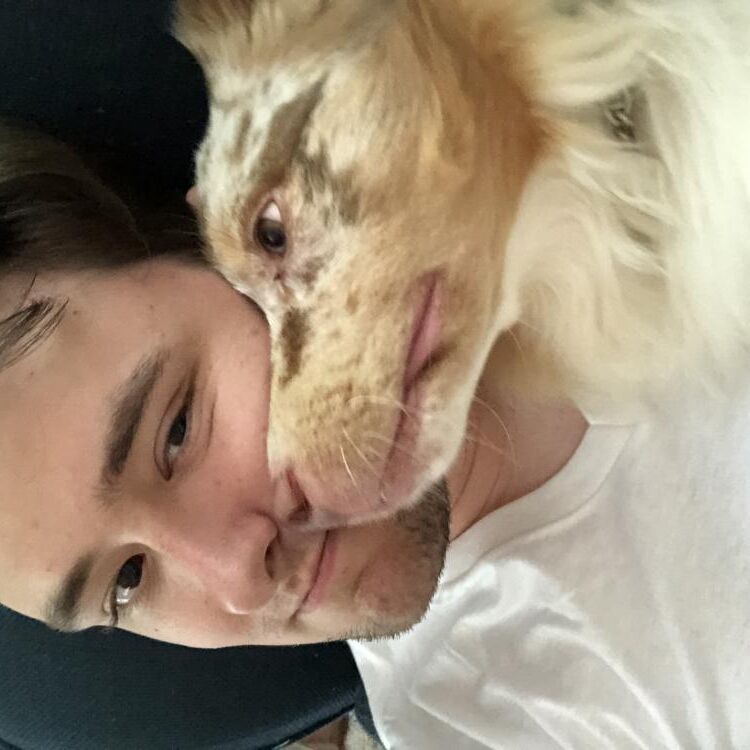 Foto de perfil