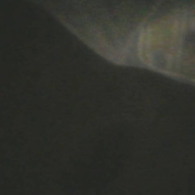Foto de perfil de Pulsar