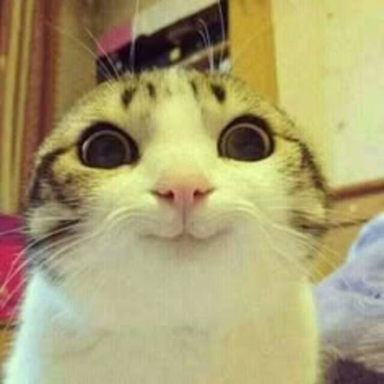 Foto de perfil de Hi