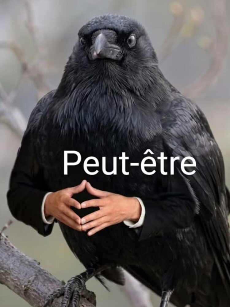 Foto de perfil de Dino