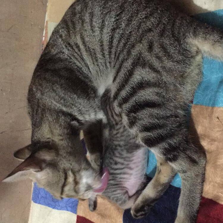Foto de perfil de Sky