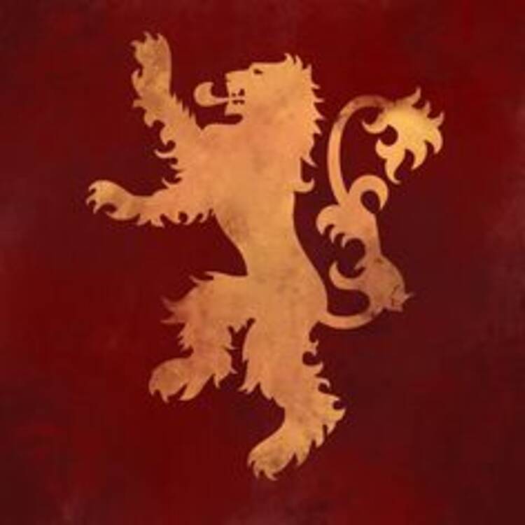 Foto de perfil de Michael