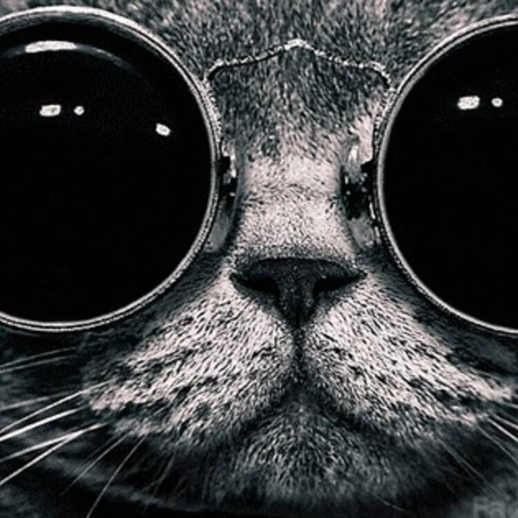 Foto de perfil de Drew