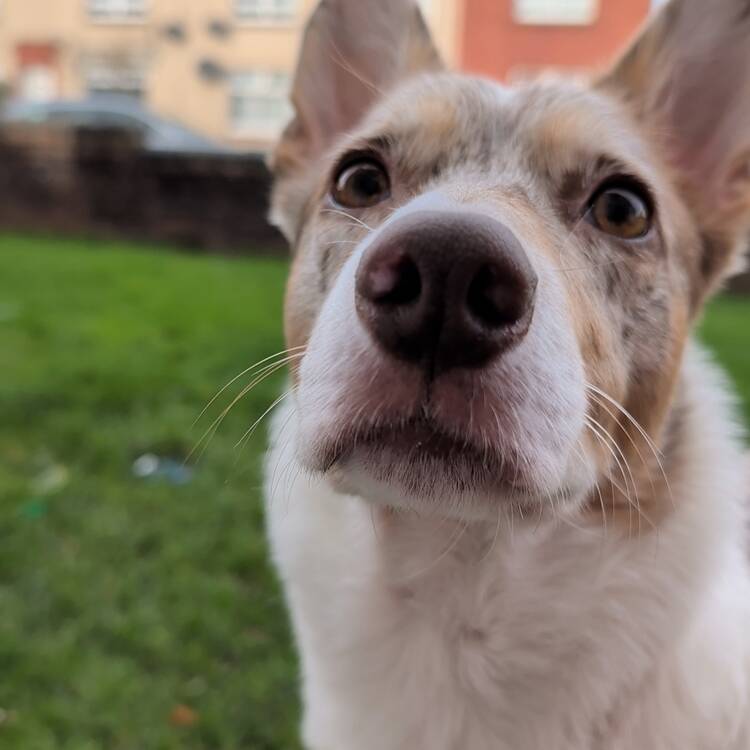 Foto de perfil