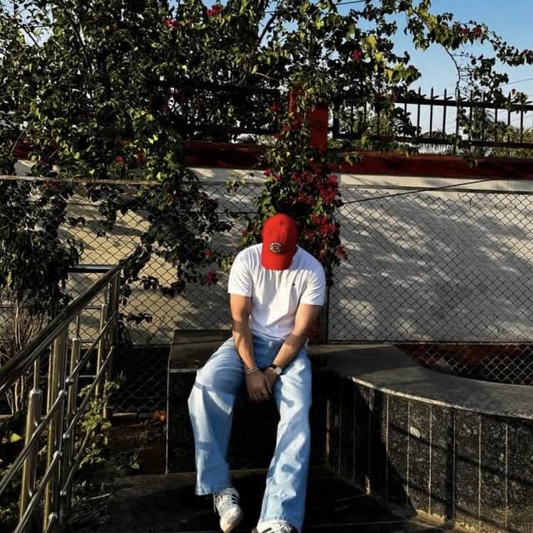 Foto de perfil de Ansh