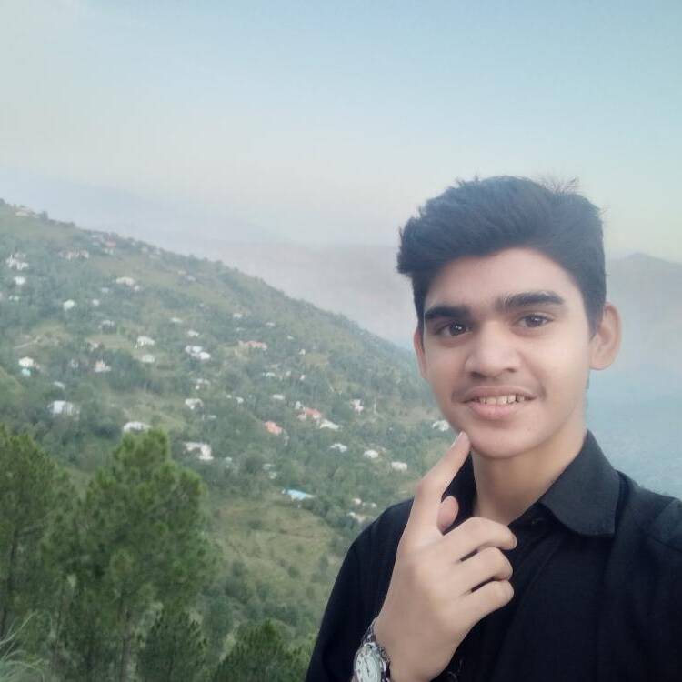 Foto de perfil de Hamza