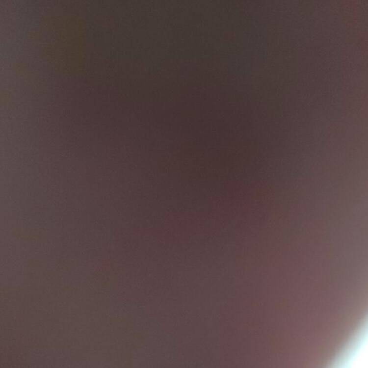 Foto de perfil de Ryan193123