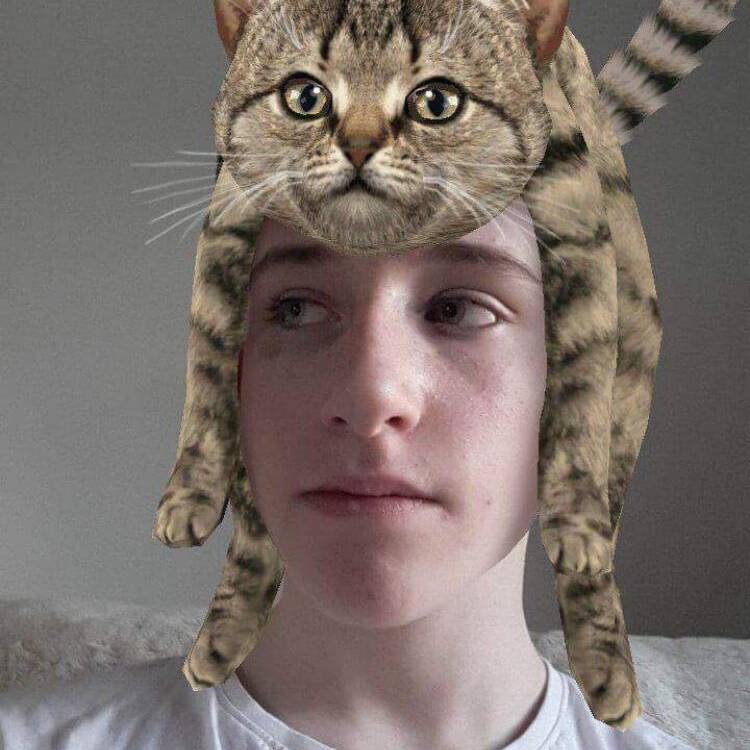 Foto de perfil