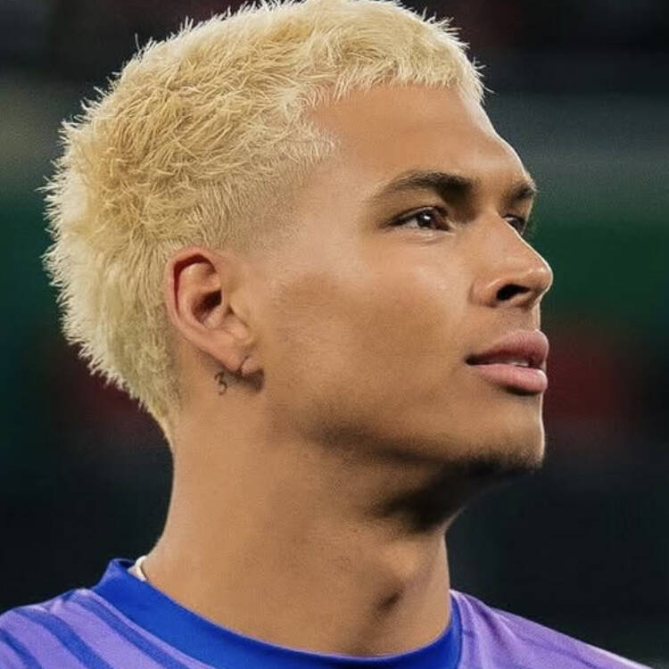 Foto de perfil de joe
