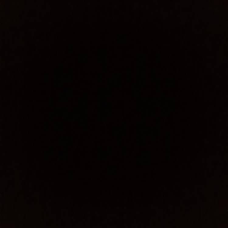 Foto de perfil de Dhanush