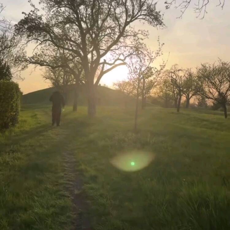 Foto de perfil de Joel
