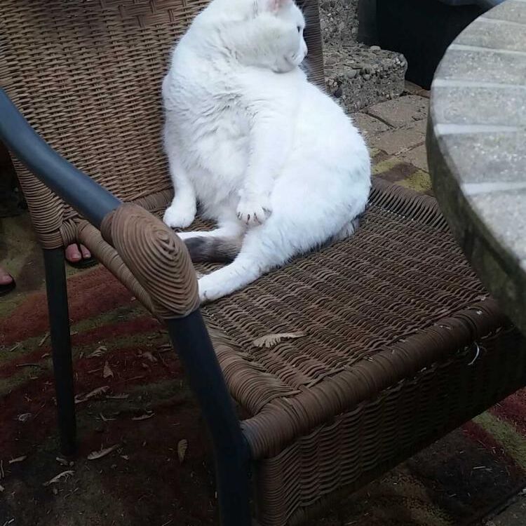 Foto de perfil